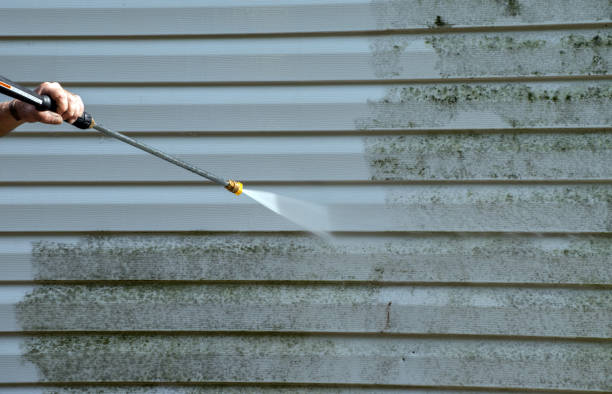 Best Sidewalk and Walkway Pressure Cleaning in Baudette, MN